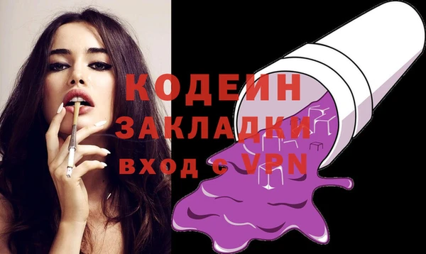 соль ск Дмитриев