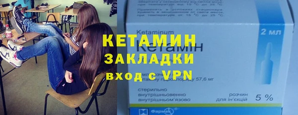 соль ск Дмитриев
