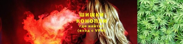 соль ск Дмитриев