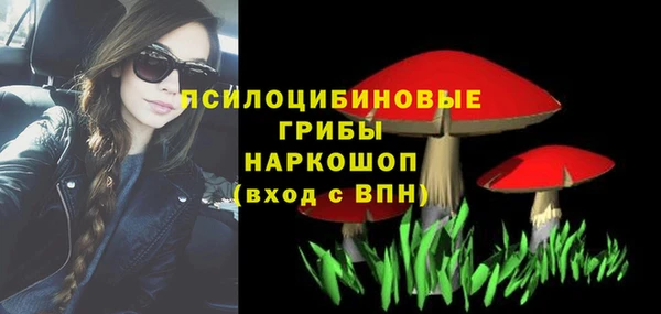 соль ск Дмитриев