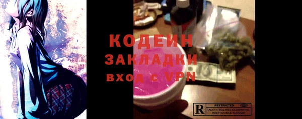 соль ск Дмитриев