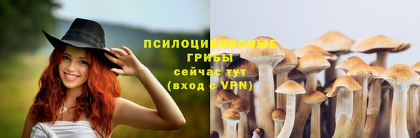 синтетический гашиш Дмитровск