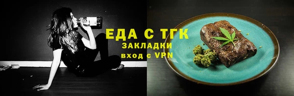 соль ск Дмитриев