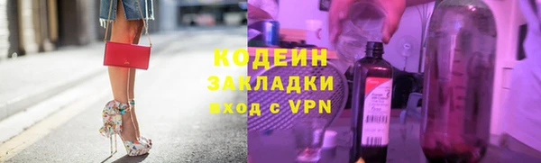 соль ск Дмитриев
