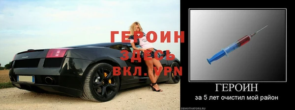 соль ск Дмитриев