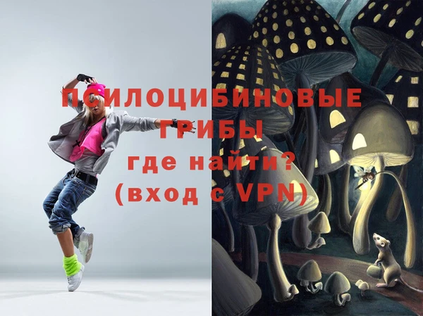 синтетический гашиш Дмитровск