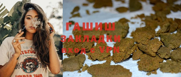 соль ск Дмитриев