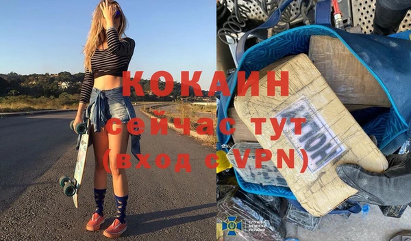 соль ск Дмитриев