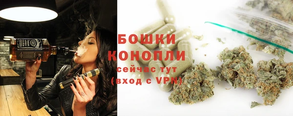 соль ск Дмитриев