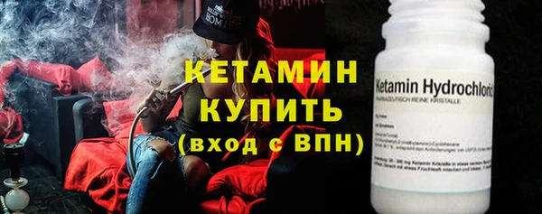 соль ск Дмитриев