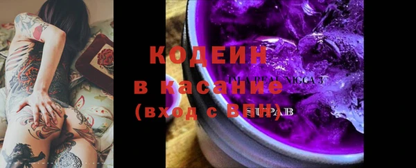 соль ск Дмитриев