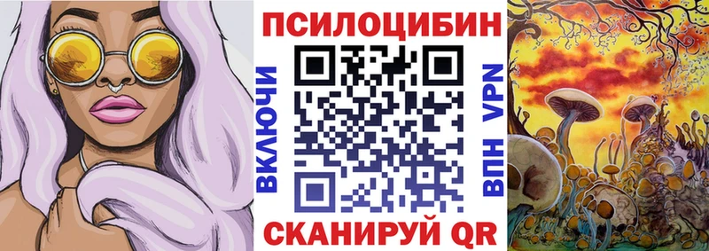 закладка  OMG рабочий сайт  Галлюциногенные грибы мицелий  Плёс 